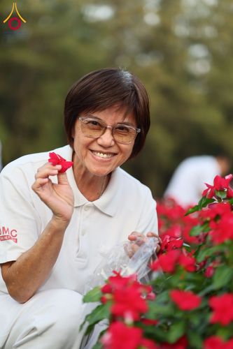 ภาพ No.185494:กิจกรรมเก็บดอกแพงรวย วันอาทิตย์ที่ 22 ธันวาคม พ.ศ. 2567 ณ ทุ่งสวรรค์ ตะวันฉาย วัดพระธรรมกาย