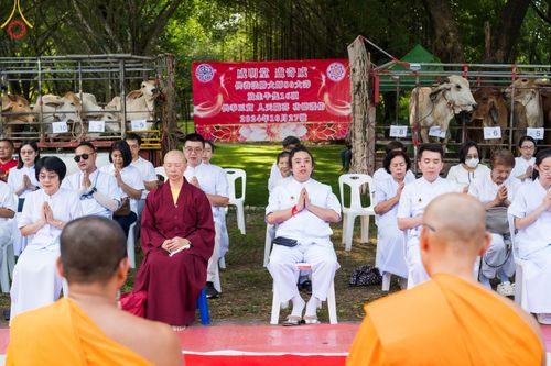 ภาพ No.171373:พิธีทอดกฐินพระนานาชาติเพื่อสร้างทุกสิ่ง  ณ ศูนย์ฝึกอบรมพุทธบุตรนานาชาติ อ.กบินทร์บุรี จ.ปราจีนบุรี วันที่ 27 ตุลาคม พ.ศ. 2567