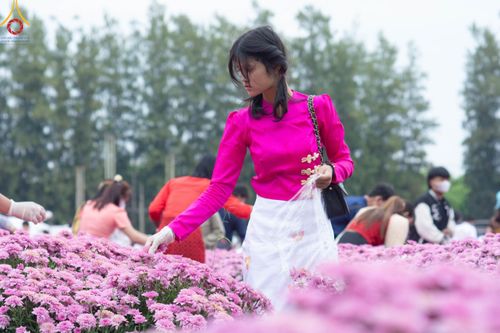 ภาพ No.104044:สาธุชนร่วมรับบุญเก็บดอกเบญจทรัพย์ ในวันอาทิตย์ที่ 24 ธันวาคม พ.ศ. 2566 ณ ทุ่งสวรรค์ตะวันฉาย บริเวณวัดพระธรรมกาย จ.ปทุมธานี