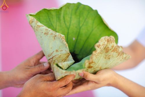 ภาพ No.180024:พิธีปลงผมนาคธรรมทายาท ในโครงการอุปสมบทหมู่ บูชาธรรมมหาปูชนียาจารย์ (ศูนย์อบรมวัดพระธรรมกาย) วันที่ 1 ธันวาคม พ.ศ. 2567 ณ ลานธรรมหารัตนวิหารคด วัดพระธรรมกาย จ.ปทุมธานี