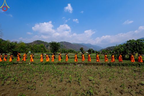 ภาพ No.315780:วันอังคารที่ 24 มีนาคม พ.ศ.2569 ธรรมยาตราจาริก ณ ป่ามหาวัน ประเทศเนปาล