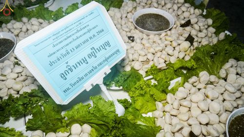 ภาพ No.71015:พิธีถวายภัตตาหารเป็นสังฆทาน แด่คณะพระธรรมยาตราฯ ในโครงการธรรมยาตราฯ ปีที่ 11 ณ อนุสรณ์สถานคลองบางนางแท่น อ.สามพราน จ.นครปฐม วันที่ 13 มกราคม พ.ศ. 2566