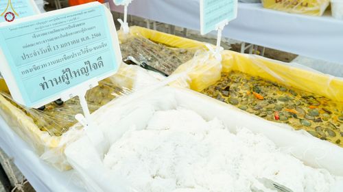 ภาพ No.71026:พิธีถวายภัตตาหารเป็นสังฆทาน แด่คณะพระธรรมยาตราฯ ในโครงการธรรมยาตราฯ ปีที่ 11 ณ อนุสรณ์สถานคลองบางนางแท่น อ.สามพราน จ.นครปฐม วันที่ 13 มกราคม พ.ศ. 2566