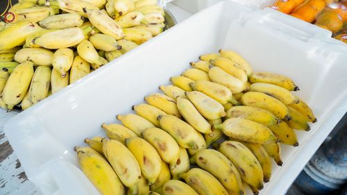 ภาพ No.72209:พิธีถวายภัตตาหารเป็นสังฆทาน แด่คณะพระธรรมยาตราฯ ในโครงการธรรมยาตรากตัญญูบูชา มหาปูชนียาจารย์ พระมงคลเทพมุนี(สด จนฺทสโร) พระผู้ปราบมาร อนุสรณ์สถาน 7 แห่ง ปีที่ 11 วันที่ 18 มกราคม พ.ศ. 2566