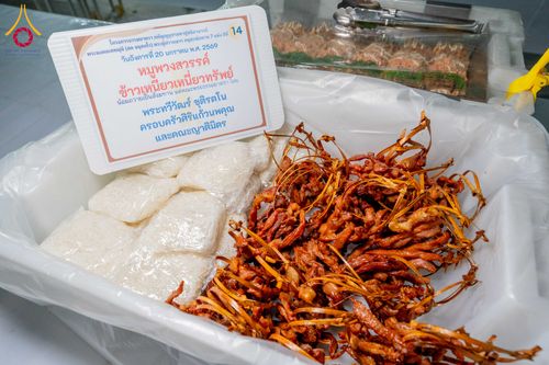 ภาพ No.298569:วันที่ 20 มกราคม พ.ศ. 2569 พิธีถวายภัตตาหารเป็นสังฆทาน แด่พระธรรมยาตรา ณ อนุสรณ์สถานบางปลา วัดบางปลา อำเภอบางเลน จังหวัดนครปฐม ในโครงการธรรมยาตรา กตัญญูบูชา มหาปูชนียาจารย์ พระมงคลเทพมุนี(สด จนฺทสโร) พระผู้ปราบมาร อนุสรณ์สถาน 7 แห่ง ปีที่ 14