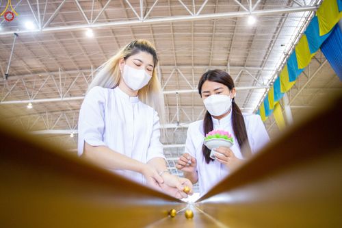 ภาพ No.77845:พิธีหล่อพระบรมพุทธเจ้า ทิศตะวันตก  วันอาทิตย์ที่ 19 มีนาคม พ.ศ. 2566 ณ วัดพระธรรมกาย จ.ปทุมธานี