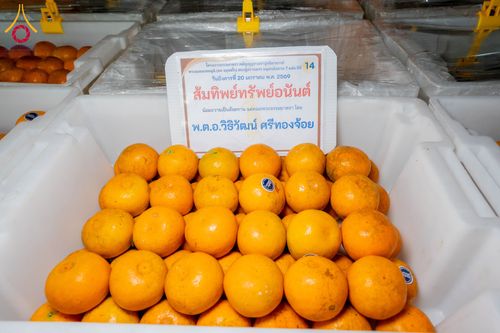 ภาพ No.298554:วันที่ 20 มกราคม พ.ศ. 2569 พิธีถวายภัตตาหารเป็นสังฆทาน แด่พระธรรมยาตรา ณ อนุสรณ์สถานบางปลา วัดบางปลา อำเภอบางเลน จังหวัดนครปฐม ในโครงการธรรมยาตรา กตัญญูบูชา มหาปูชนียาจารย์ พระมงคลเทพมุนี(สด จนฺทสโร) พระผู้ปราบมาร อนุสรณ์สถาน 7 แห่ง ปีที่ 14