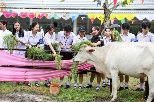 ภาพ No.241565:วันเสาร์ที่ 23 สิงหาคม พ.ศ. 2568 พิธีบุพเปตพลีนานาชาติ ปีที่ 12 ณ ศูนย์ปฏิบัติธรรมภาคใต้ อ.บางกล่ำ จ.สงขลา