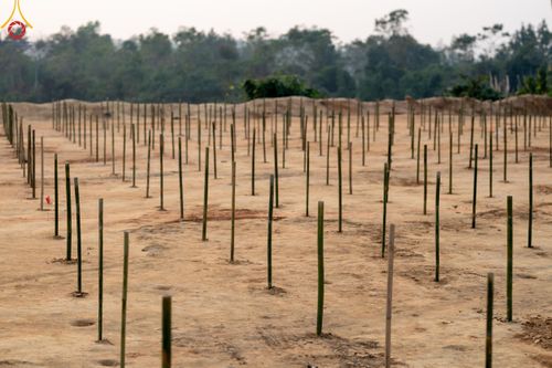 ภาพ No.127272:Photo Story ปฐมบรรพชาชาวพุทธมาร์มา เริ่ม วันที่ 2 กุมภาพันธ์ พ.ศ. 2567 ณ วัดธัมจักร อรัญกุฏิ เมืองรัมการ์ คาร์กาชารี บังกลาเทศ