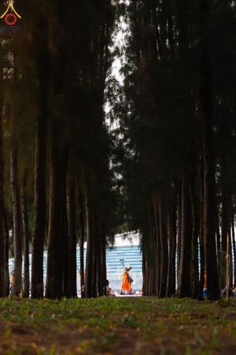ภาพ No.120413:พิธีต้อนรับพระธรรมยาตรา ในโครงการธรรมยาตรา กตัญญูบูชา มหาปูชนียาจารย์ พระมงคลเทพมุนี(สด จนฺทสโร) พระผู้ปราบมาร อนุสรณ์สถาน 7 แห่ง ปีที่ 12 วันที่ 28 มกราคม พ.ศ. 2567 ณ วัดพระธรรมกาย จ.ปทุมธานี (ชุดที่ 2)