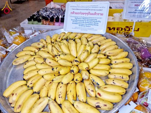 ภาพ No.121663:พิธีถวายภัตตาหารเป็นสังฆทาน แด่คณะพระธรรมยาตรา ปีที่ 12 วันที่ 31 มกราคม พ.ศ. 2567 ณ สภาธรรมกายสากล วัดพระธรรมกาย