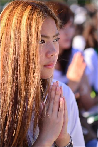 ภาพ No.8846:ประมวลภาพตักบาตรพระมหาวิทยาลัยเกษตรศาสตร์ พระ 1,173 รูป