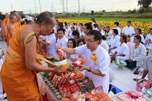 ภาพ No.5426:ตักบาตรลพบุรี พระ 555 รูป