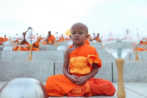 ภาพ No.8095:วันมาฆบูชา 2556 ณ วัดพระธรรมกาย