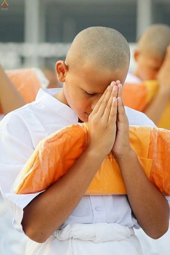 ภาพ No.16131:ประมวลภาพพิธีบรรพชาสามเณร 1 แสนรูป ภาคฤดูร้อน ประจำปี พ.ศ.2558