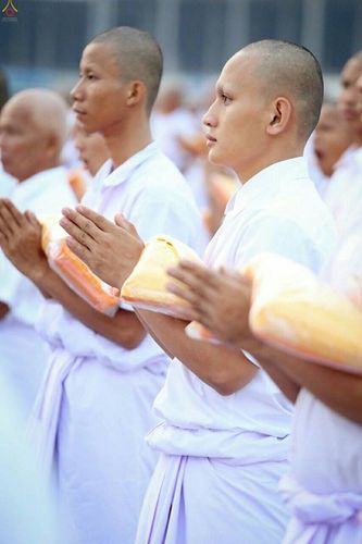 ภาพ No.16132:ประมวลภาพพิธีบรรพชาสามเณร 1 แสนรูป ภาคฤดูร้อน ประจำปี พ.ศ.2558