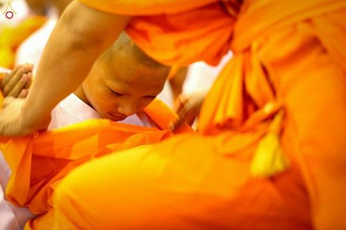 ภาพ No.16161:ประมวลภาพพิธีบรรพชาสามเณร 1 แสนรูป ภาคฤดูร้อน ประจำปี พ.ศ.2558