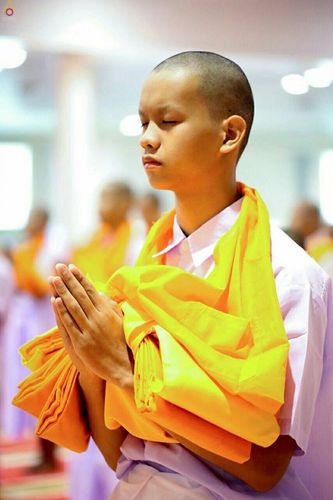 ภาพ No.16166:ประมวลภาพพิธีบรรพชาสามเณร 1 แสนรูป ภาคฤดูร้อน ประจำปี พ.ศ.2558