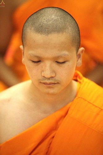 ภาพ No.16188:ประมวลภาพพิธีบรรพชาสามเณร 1 แสนรูป ภาคฤดูร้อน ประจำปี พ.ศ.2558