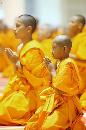 ภาพ No.16199:ประมวลภาพพิธีบรรพชาสามเณร 1 แสนรูป ภาคฤดูร้อน ประจำปี พ.ศ.2558