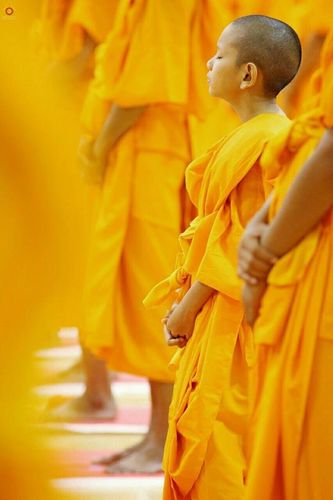 ภาพ No.16205:ประมวลภาพพิธีบรรพชาสามเณร 1 แสนรูป ภาคฤดูร้อน ประจำปี พ.ศ.2558