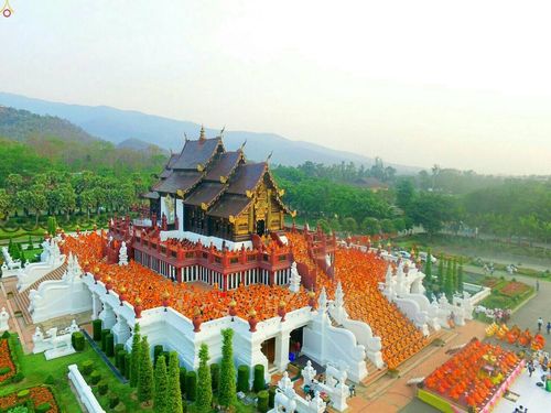 พิธีตักบาตรพระภิกษุ สามเณร กว่า ๑๐,๐๐๐ รูป จ.เชียงใหม่