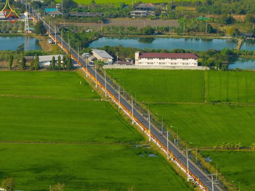 ขบวนพระภิกษุสงฆ์เดินธุดงค์เป็นแถวยาวบนถนนท่ามกลางทุ่งนาสีเขียวขจี