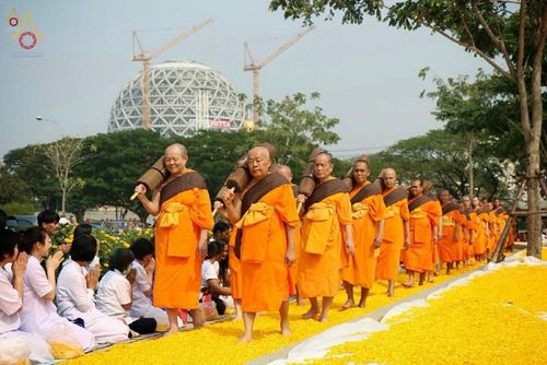 คณะพระภิกษุสงฆ์เดินธุดงค์บนเส้นทางที่ปูลาดด้วยดอกดาวเรืองสีเหลือง โดยมีพุทธศาสนิกชนนั่งกราบไหว้ด้วยความเคารพ