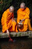 ภาพ No.46324:ประมวลภาพพิธีอัญเชิญน้ำศักดิ์สิทธิ์ จาก Umbul Jumprit Temanggung ไปยังวัดเมินดุต