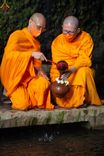 ภาพ No.46329:ประมวลภาพพิธีอัญเชิญน้ำศักดิ์สิทธิ์ จาก Umbul Jumprit Temanggung ไปยังวัดเมินดุต