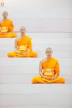ภาพ No.243593:วันอาทิตย์ที่ 7 กันยายน พ.ศ. 2568 พิธีบูชาครูผู้ค้นพบวิชชาธรรมกาย , พิธีบูชาข้าวพระ ณ สภาธรรมกายสากล วัดพระธรรมกาย