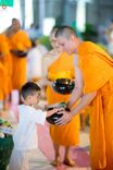 ภาพ No.246640:วันที่ 14 กันยายน พ.ศ. 2568 พิธีตักบาตรฉลองพระใหม่ ในโครงการอุปสมบทหมู่บูชาธรรม ครบรอบ108ปี วันครูผู้ค้นพบวิชชาธรรมกาย ณ วิหารคด วัดพระธรรมกาย