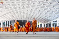 ภาพ No.219950:บรรยากาศการเดินทางเข้าวัดพระธรรมกาย , การต้อนรับปฏิสันถาร , การฉันภัตตาหารเช้า , การลงทะเบียนพระสังฆาธิการ  เนื่องในวันคุ้มครองโลก พิธีถวายมหาสังฆทานคณะสงฆ์ 40,000 กว่าวัดทั่วประเทศ ณ วัดพระธรรมกาย