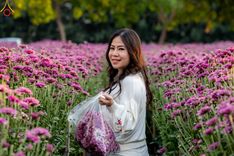 ภาพ No.102928:สาธุชนร่วมรับบุญเก็บดอกเบญจทรัพย์ ในวันที่ 19 ธันวาคม พ.ศ. 2566 (วันแรก) ณ บริเวณวัดพระธรรมกาย จ.ปทุมธานี