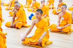 ภาพ No.187683:พระธรรมยาตรา รับฟังพระธรรมเทศนา จากหลวงพ่อทัตตชีโว ในโครงการธรรมยาตรา ปีที่ 13 กตัญญูบูชา มหาปูชนียาจารย์ พระมงคลเทพมุนี(สด จนฺทสโร) พระผู้ปราบมาร อนุสรณ์สถาน 7 แห่ง ณ ห้องแก้วสารพัดนึก 2 วัดพระธรรมกาย วันที่ 26 ธันวาคม พ.ศ. 2567