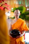 ภาพ No.246572:วันที่ 14 กันยายน พ.ศ. 2568 พิธีตักบาตรฉลองพระใหม่ ในโครงการอุปสมบทหมู่บูชาธรรม ครบรอบ108ปี วันครูผู้ค้นพบวิชชาธรรมกาย ณ วิหารคด วัดพระธรรมกาย