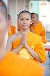 ภาพ No.201313:พระธรรมยาตราปฏิบัติธรรม และถ่ายภาพหมู่ประวัติศาสตร์ ณ อาคารธรรมยาตรา กตัญญูบูชามหาปูชนียาจารย์  ตรงข้ามวัดปากน้ำภาษีเจริญ จ.กรุงเทพมหานคร ในโครงการธรรมยาตรา กตัญญูบูชา มหาปูชนียาจารย์ พระมงคลเทพมุนี(สด จนฺทสโร) พระผู้ปราบมาร อนุสรณ์สถาน 7 แห่ง ปีที่ 13