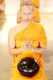 ภาพ No.240368:วันพุธที่ 27 สิงหาคม พ.ศ. 2568 พิธีตักบาตร ในวันธรรมชัย ณ วัดพระธรรมกาย จ.ปทุมธานี