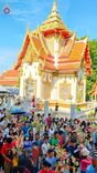 ภาพ No.181764:พิธีทอดกฐิน ณ วัดนาคราช ต.บางพลีน้อย อ.บางบ่อ จ.สมุทรปราการ ในโครงการทอดกฐินสามัคคีทั่วไทย 30,000 วัด บูชาธรรม 80 ปี หลวงพ่อธัมมชโย โดยคณะศิษยานุศิษย์วัดพระธรรมกาย วันที่ 3 พฤศจิกายน พ.ศ. 2567