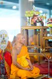 ภาพ No.246568:วันที่ 14 กันยายน พ.ศ. 2568 พิธีตักบาตรฉลองพระใหม่ ในโครงการอุปสมบทหมู่บูชาธรรม ครบรอบ108ปี วันครูผู้ค้นพบวิชชาธรรมกาย ณ วิหารคด วัดพระธรรมกาย