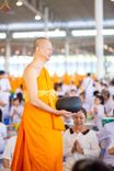 ภาพ No.158953:พิธีตักบาตร ในวันอาทิตย์ต้นเดือน วันที่ 6 ตุลาคม พ.ศ. 2567 ณ สภาธรรมกายสากล วัดพระธรรมกาย
