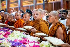 ภาพ No.175808:พิธีทอดผ้าป่าสมทบกฐิน ณ วัดอนุรุทธะอารนา เมืองมาตะเล ศรีลังกา โดยมูลนิธิธรรมกาย ในนามหลวงพ่อธัมมชโย วันที่ 7 พฤศจิกายน พ.ศ. 2567