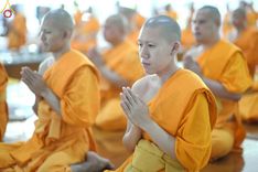 ภาพ No.162132:พิธีถวายภัตตาหารเมนูสวรรค์ เนื่องในวันออกพรรษา (ขึ้น 15 ค่ำ เดือน 11) วันพฤหัสบดีที่ 17 ตุลาคม พ.ศ. 2567 ณ หอฉันคุณยายอาจารย์ฯ วัดพระธรรมกาย