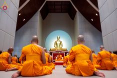 ภาพ No.256279:วันที่ 4 ตุลาคม พ.ศ. 2568 พิธีบรรพชาอุปสมบท  โครงการอุปสมบทหมู่บูชาธรรม 141 ปี  พระมงคลเทพมุนี (สด จนฺทสโร) ณ โบสถ์พระไตรปิฏก วัดพระธรรมกาย จ.ปทุมธานี