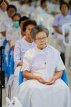 ภาพ No.156936:โครงการ อุบาสกแก้ว อุบาสิกาแก้ว รุ่นที่ 3 ตัวแทนทอดกฐินสามัคคีทั่วไทย 30,000 วัด ระหว่างวันที่ 20-22 กันยายน พ.ศ. 2567 ณ ธุดงคสถานชลบุรี