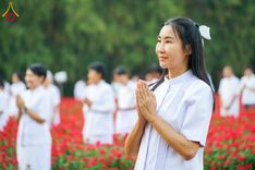 ภาพ No.185441:กิจกรรมเก็บดอกแพงรวย วันอาทิตย์ที่ 22 ธันวาคม พ.ศ. 2567 ณ ทุ่งสวรรค์ ตะวันฉาย วัดพระธรรมกาย