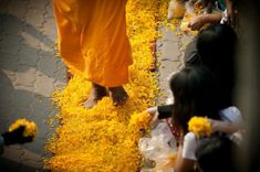 ภาพ No.7384:ประมวลภาพธุดงค์ธรรมชัย ปีที่ 2 วันที่ 21 มกราคม พ.ศ.2556
