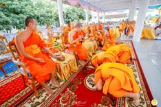 ภาพ No.236475:วันพุธที่ 30 กรกฏาคม  พ.ศ. 2568 พิธีถวายมหาสังฆทาน 81 วัด 81 ปี หลวงพ่อธัมชโย ครั้งที่ 2  ณ ศูนย์ปฏิบัติธรรมสวนผึ้ง ต.ท่าเคย อ.สวนผึ้ง จ.ราชบุรี