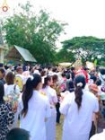 ภาพ No.173621:พิธีทอดกฐิน ณ วัดหนองม่วง จ.ระยอง ในโครงการกฐินสามัคคีทั่วไทย 30,000 วัด บูชาธรรม 80 ปี หลวงพ่อธัมมชโย โดยคณะศิษยานุศิษย์วัดพระธรรมกาย วันที่ 27 ตุลาคม พ.ศ. 2567