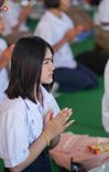 ภาพ No.176057:วันรวมพลังเด็กดี V-Star ผู้นำฟื้นฟูศีลธรรมโลก ประจำปี 2567 ณ พุทธอุทยานนานาชาติ อ.โพนพิสัย จ.หนองคาย วันที่ 15 พฤศจิกายน พ.ศ. 2567
